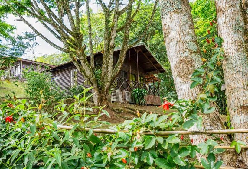 Habitació Estàndard amb Balconada, Hospedaje La Naciente