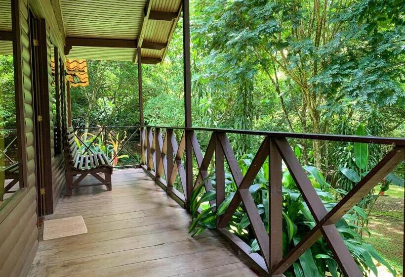 Habitació Estàndard amb Balconada, Hospedaje La Naciente
