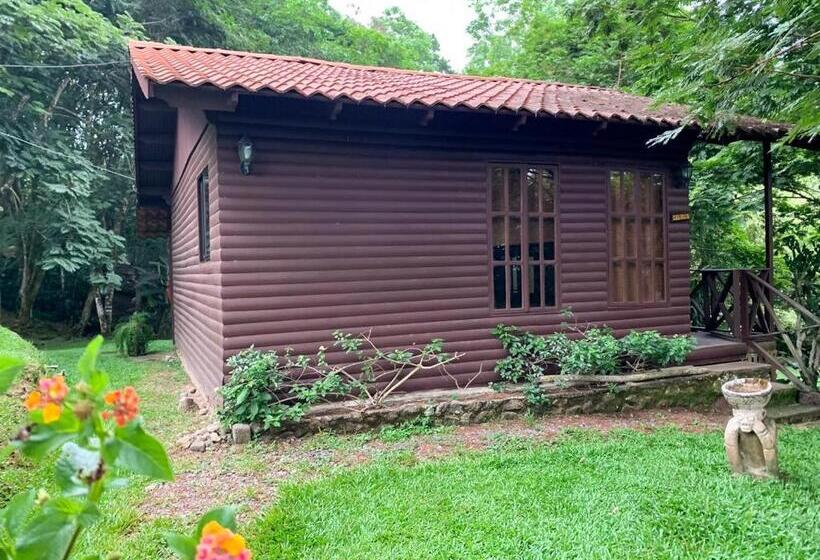 Habitació Estàndard amb Balconada, Hospedaje La Naciente