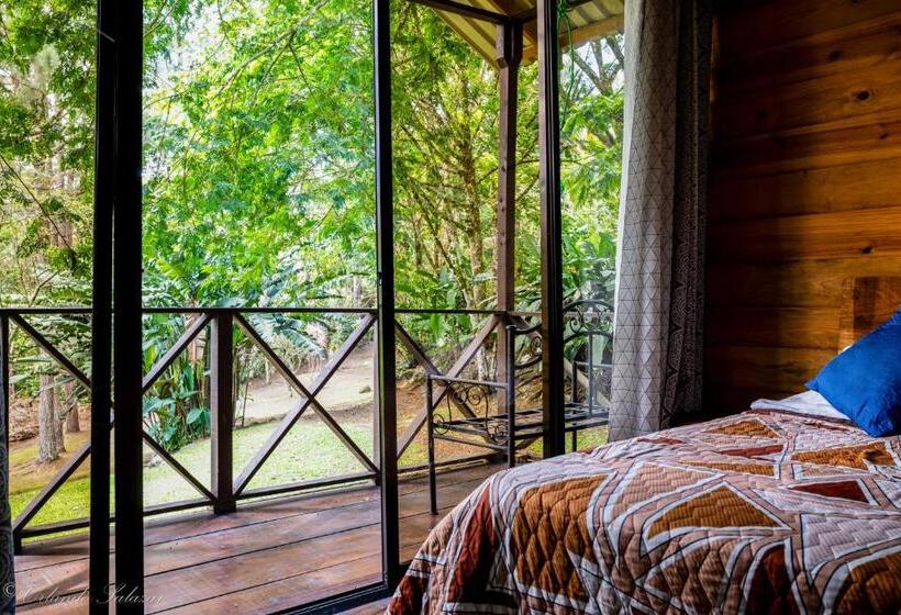 Bungalow Estàndard Vista Jardí, Hospedaje La Naciente