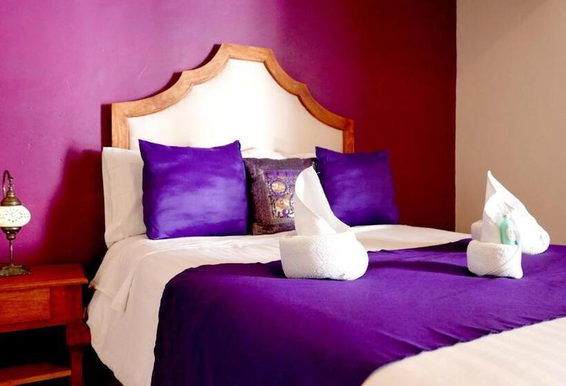 Номер Стандарт, Ganesha