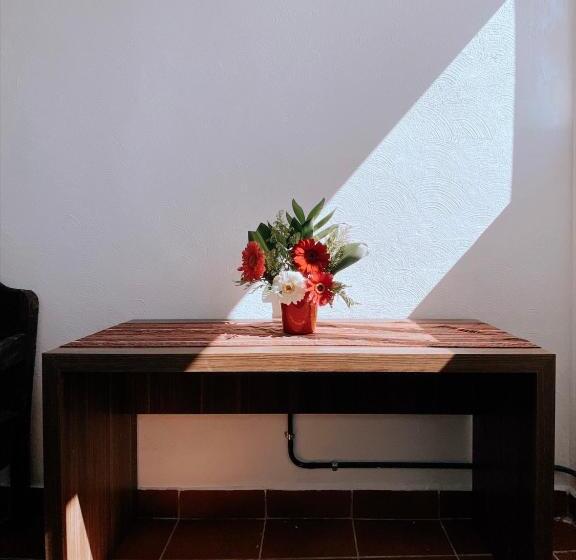 اتاق استاندارد, Dreamboat Hostel