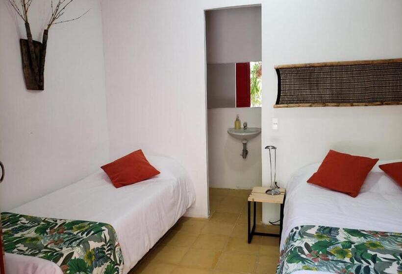 اتاق استاندارد, Lodge Paraiso Verde