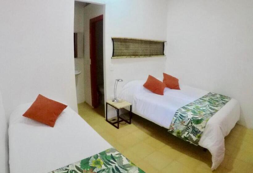 اتاق استاندارد, Lodge Paraiso Verde