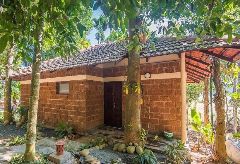 침실 1개 디럭스 빌라, Raindrops Resorts Wayanad