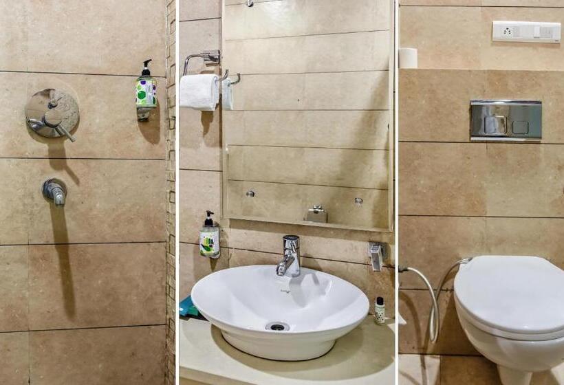 Номер Стандарт, Treebo Red Petal Jalandhar