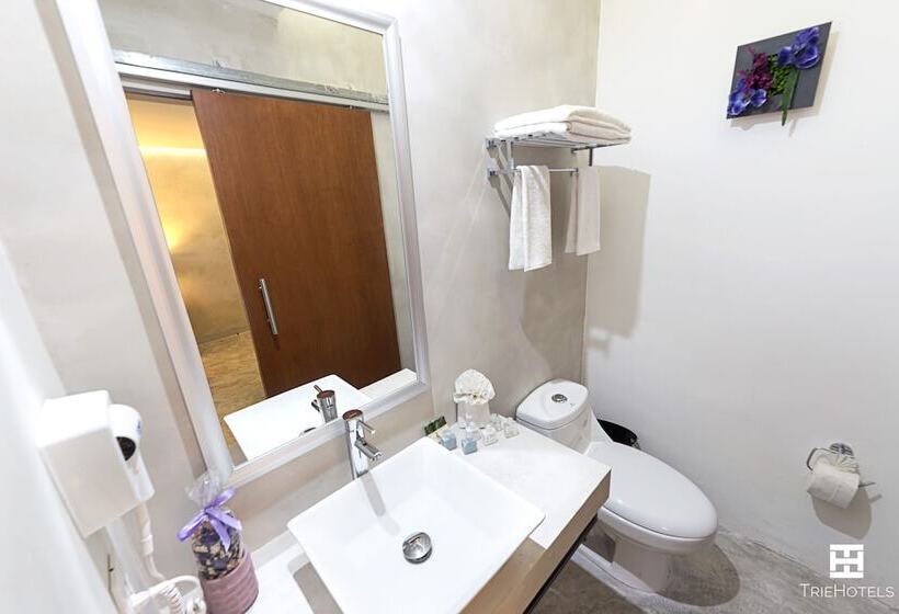 豪华房间, Urban 101