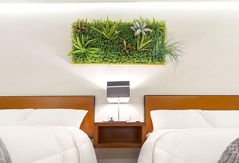 四人豪华间, Urban 101