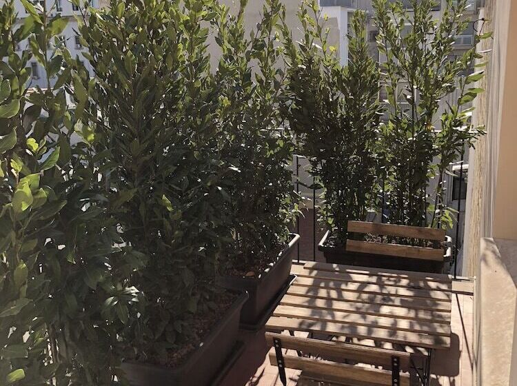 חדר סטנדרט, 200s & Terrace