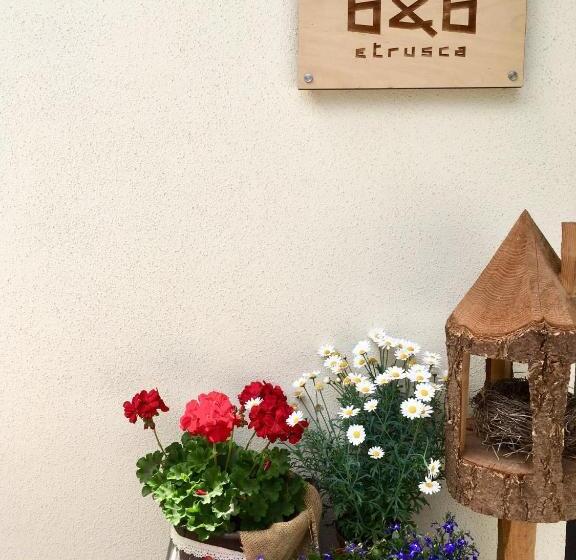 スタンダード４人部屋, Etrusca Polsa