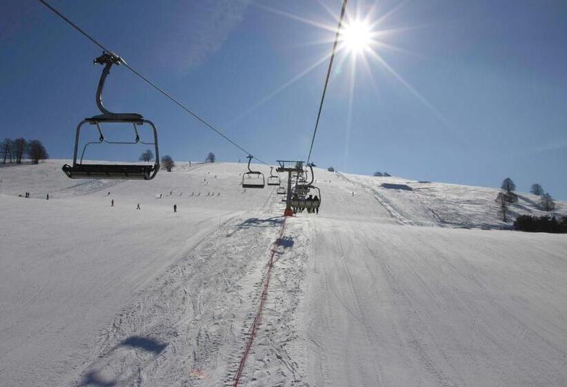 スタンダード４人部屋, Etrusca Polsa