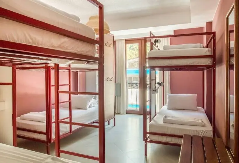 ルームシェアのワンベッド, Socialtel Baños Formerly Selina Baños