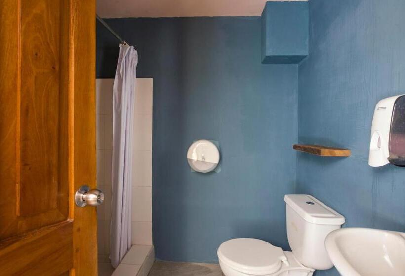 חדר בסיסי חדר אמבטיה משותף, Socialtel Baños   Formerly Selina Baños