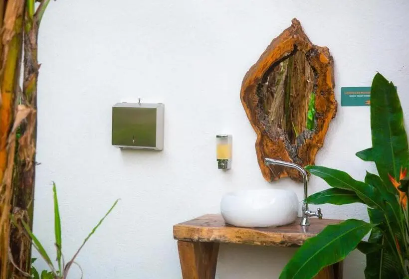 ルームシェアのワンベッド, Masaya Casas Viejas