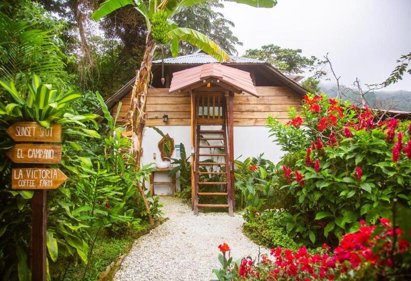 Кровать в Общей Комнате, Masaya Casas Viejas