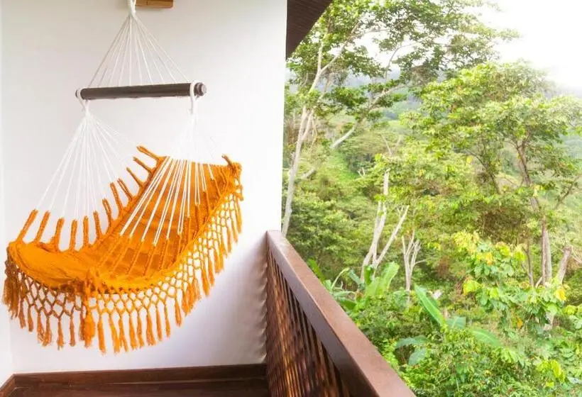 スーペリアールーム, Masaya Casas Viejas