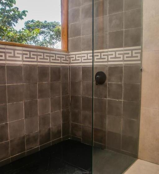 Номер Стандарт, Masaya Casas Viejas