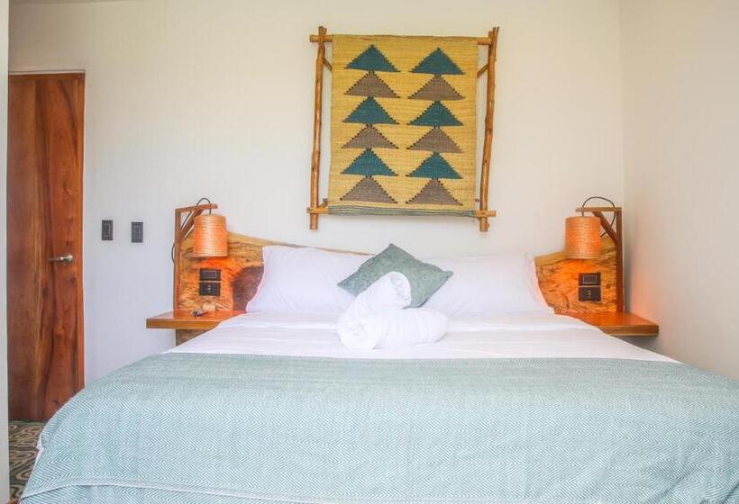 Номер Стандарт, Masaya Casas Viejas