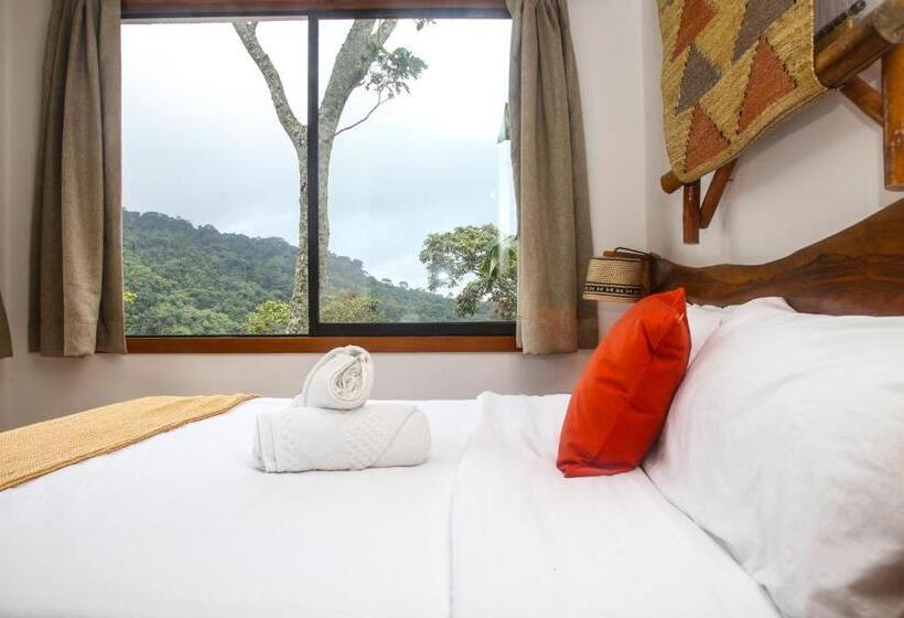 Номер Стандарт, Masaya Casas Viejas