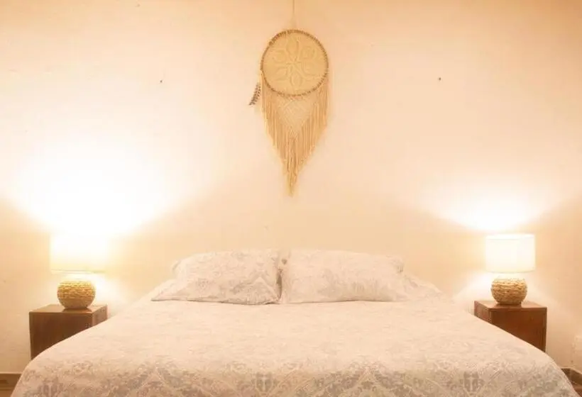 エコノミールーム, Masaya Casas Viejas