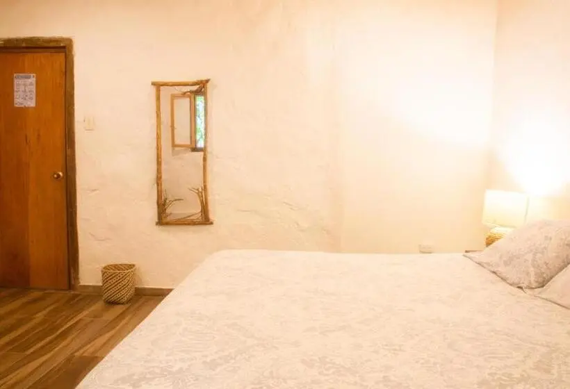 エコノミールーム, Masaya Casas Viejas