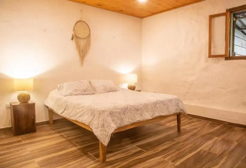 エコノミールーム, Masaya Casas Viejas