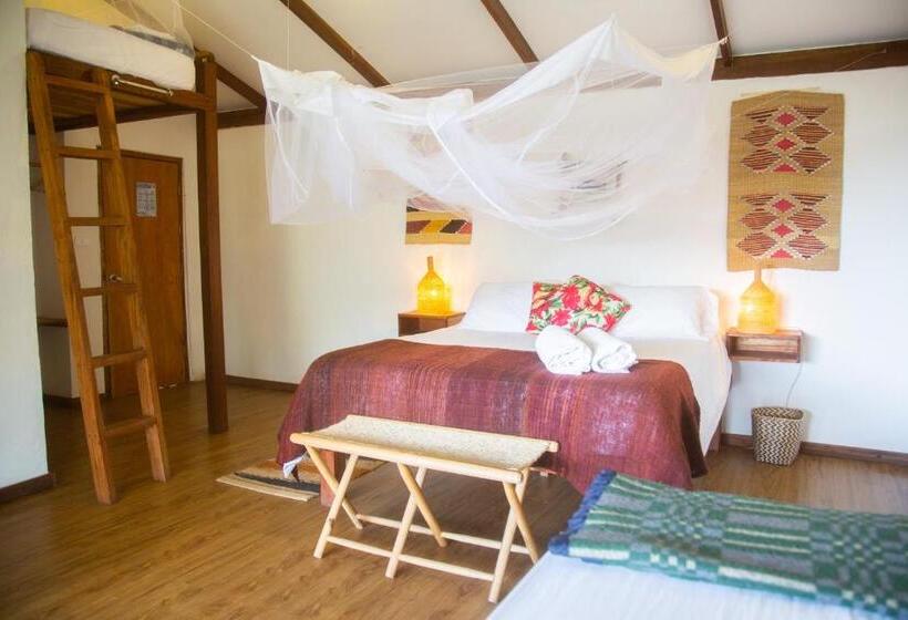 Семейный Номер, Masaya Casas Viejas