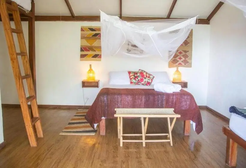 ファミリールーム, Masaya Casas Viejas