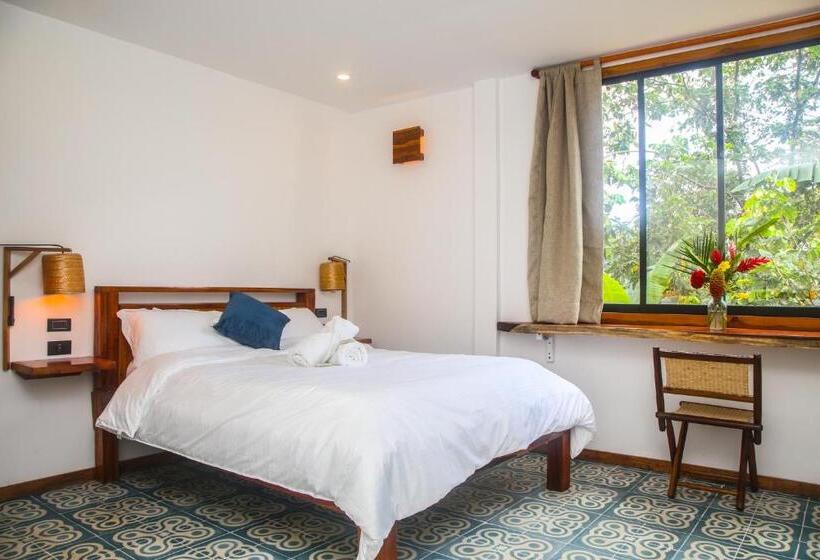 Номер Стандарт, Masaya Casas Viejas