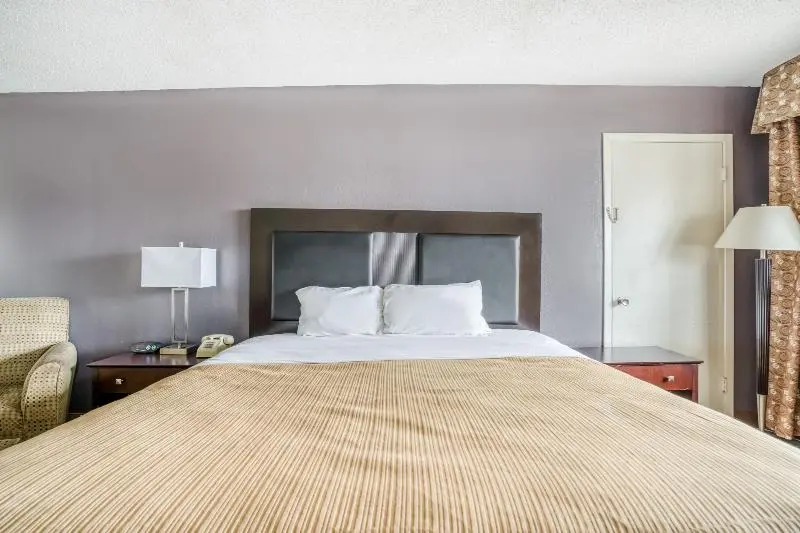 キングサイズベッドのスタンダードルーム, Oyo Hotel Alexandria La Hwy 165