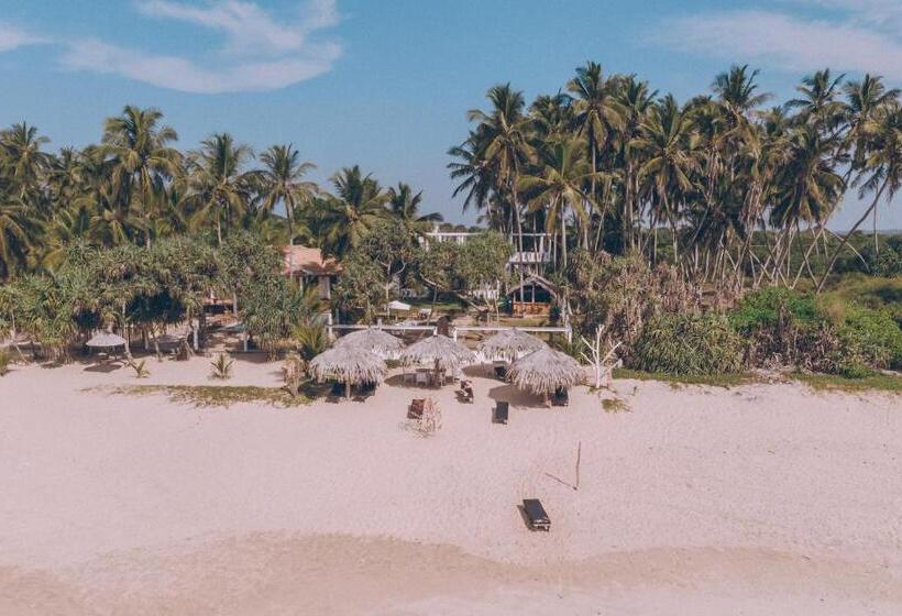 Номер Стандарт с Террасой, Nirvana Beach Boutique