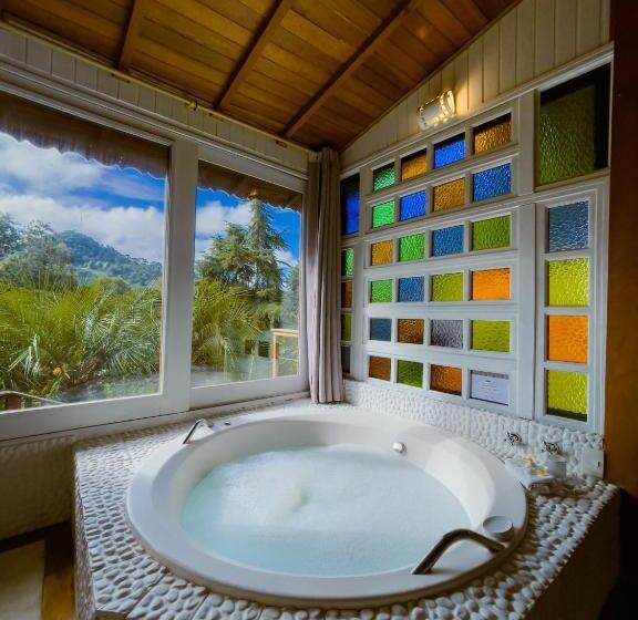 带大床的套房, Pousada Solar D Araucaria