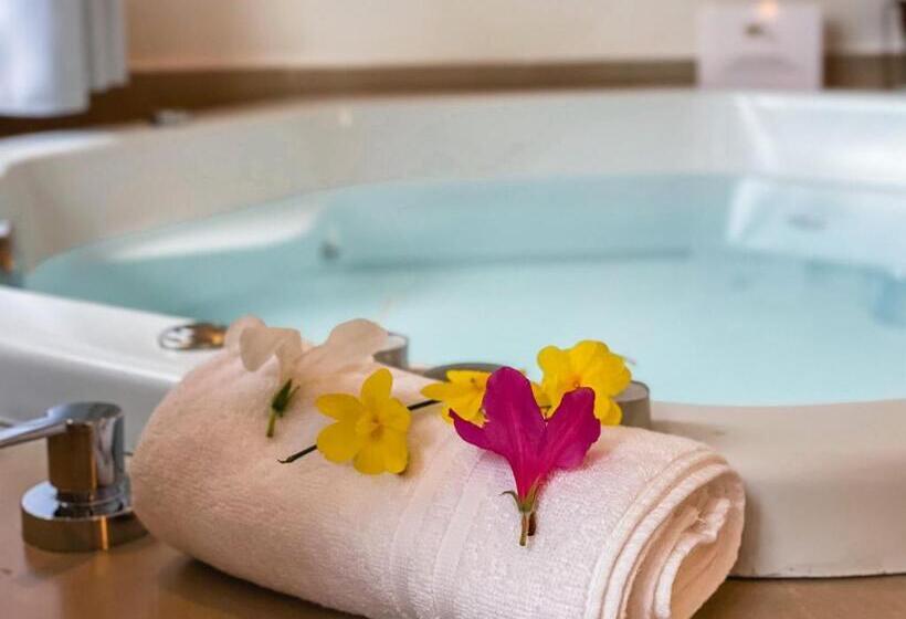 一居室别墅, Pousada Solar D Araucaria