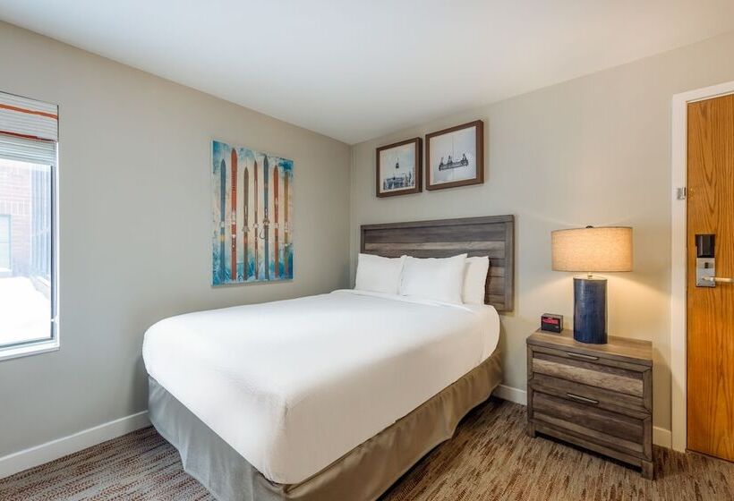 Monolocale Standard, Raintree's Park Plaza Park City
