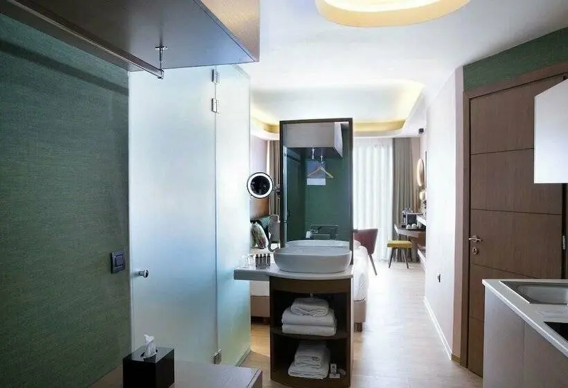 エクゼクティブルーム, Wyndham Athens Residence