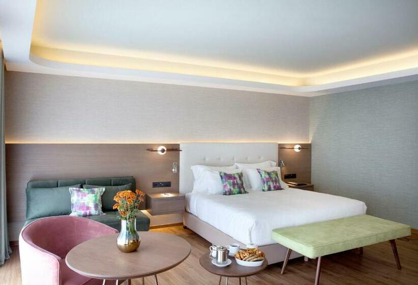 이그제큐티브 룸, Wyndham Athens Residence