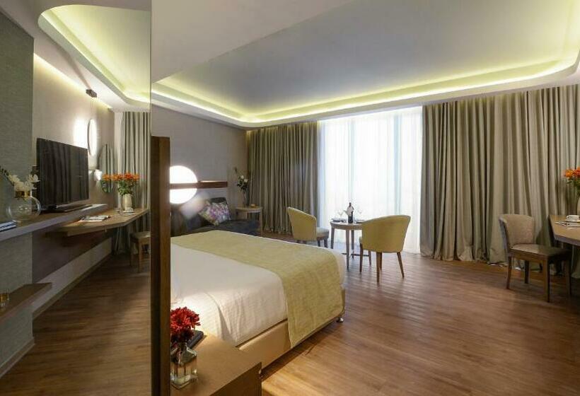 주니어 스위트 도시 전망, Wyndham Athens Residence