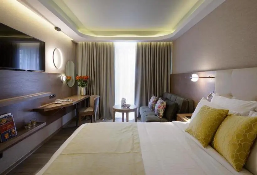 エクゼクティブルーム, Wyndham Athens Residence