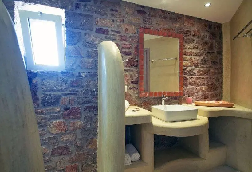 Studio Supérieur, Anemes