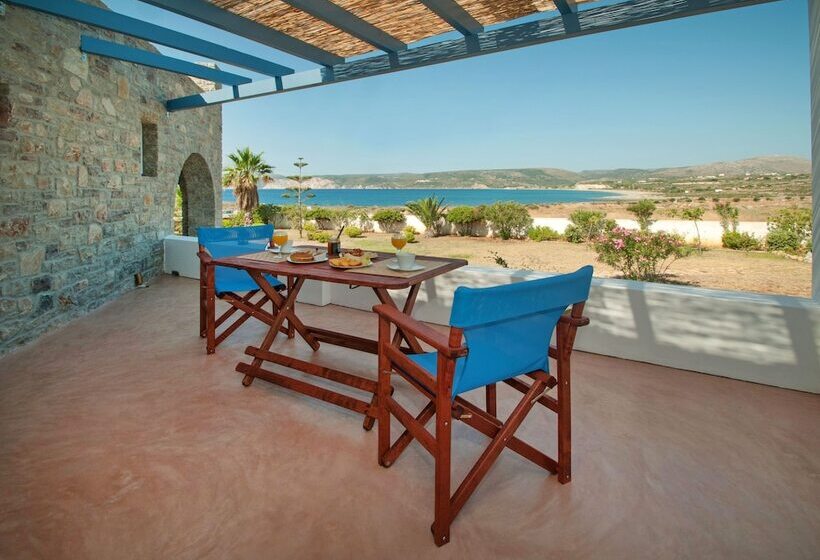 סטודיו סופריור, Anemes