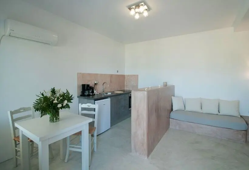 Studio Supérieur, Anemes