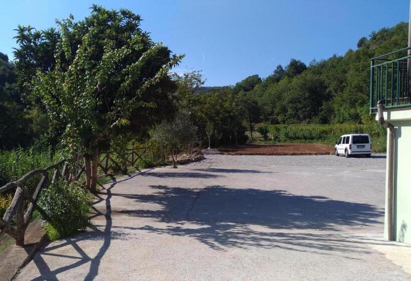 חדר סטנדרט לארבעה, Palia S