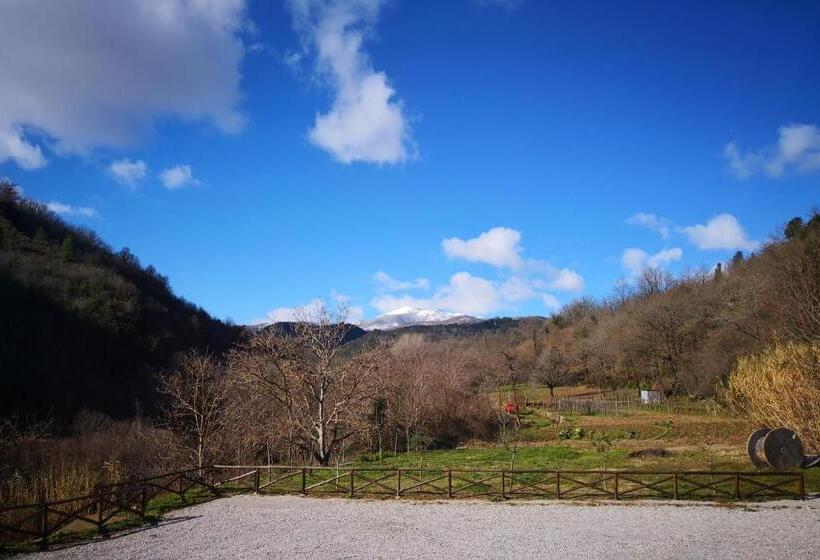 חדר סטנדרט יחיד, Palia S