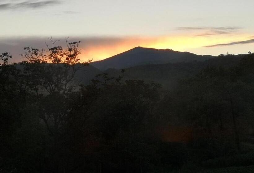 חיבור הדירה עם חדר שינה אחד, Palia S