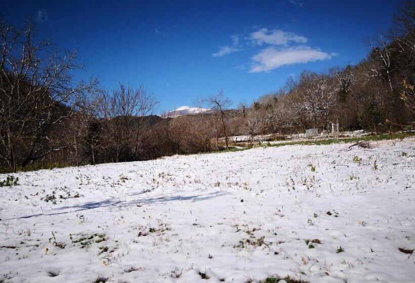 חיבור הדירה עם חדר שינה אחד, Palia S