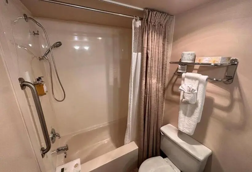 スタンダードルーム, Sidney Waterfront Inn & Suites