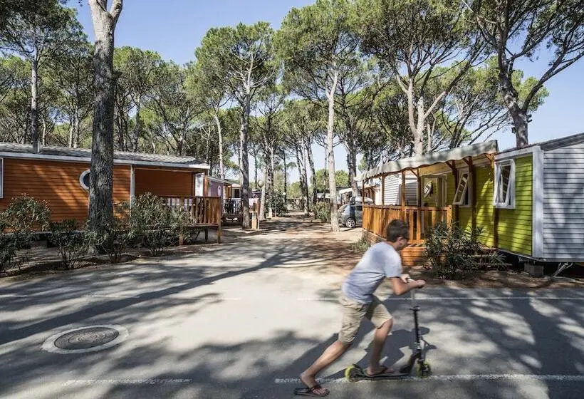 2ベッドルームハウス, Camping Neptuno