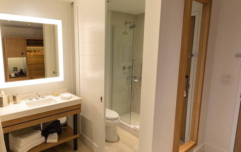 اتاق استاندارد با تخت دوبل, Canopy By Hilton Dallas Uptown