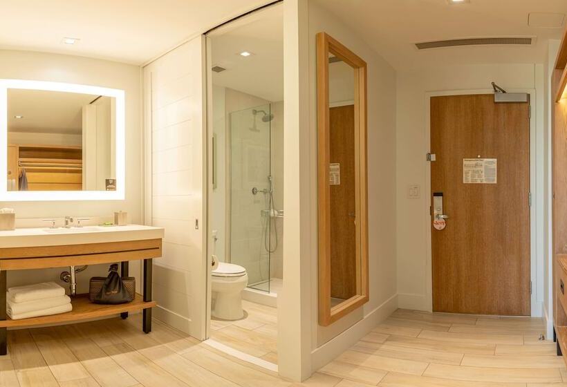 Номер Стандарт 2 Двуспальные Кровати, Canopy By Hilton Dallas Uptown