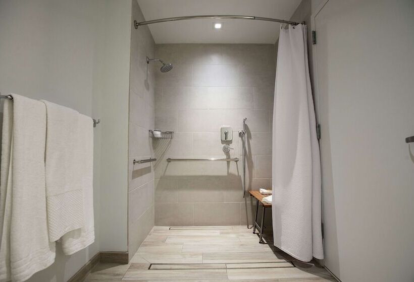 Номер Стандарт Двуспальная Кровать, Canopy By Hilton Dallas Uptown